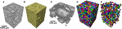 Microstructural Analysis From X-Ray CT Images of the Brae Formation Sandstone, North Sea